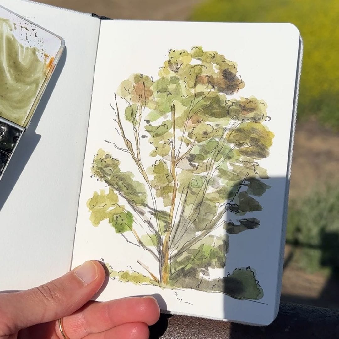 Tales from the Trail: How an ultralight sketching kit transformed the way I nature journal