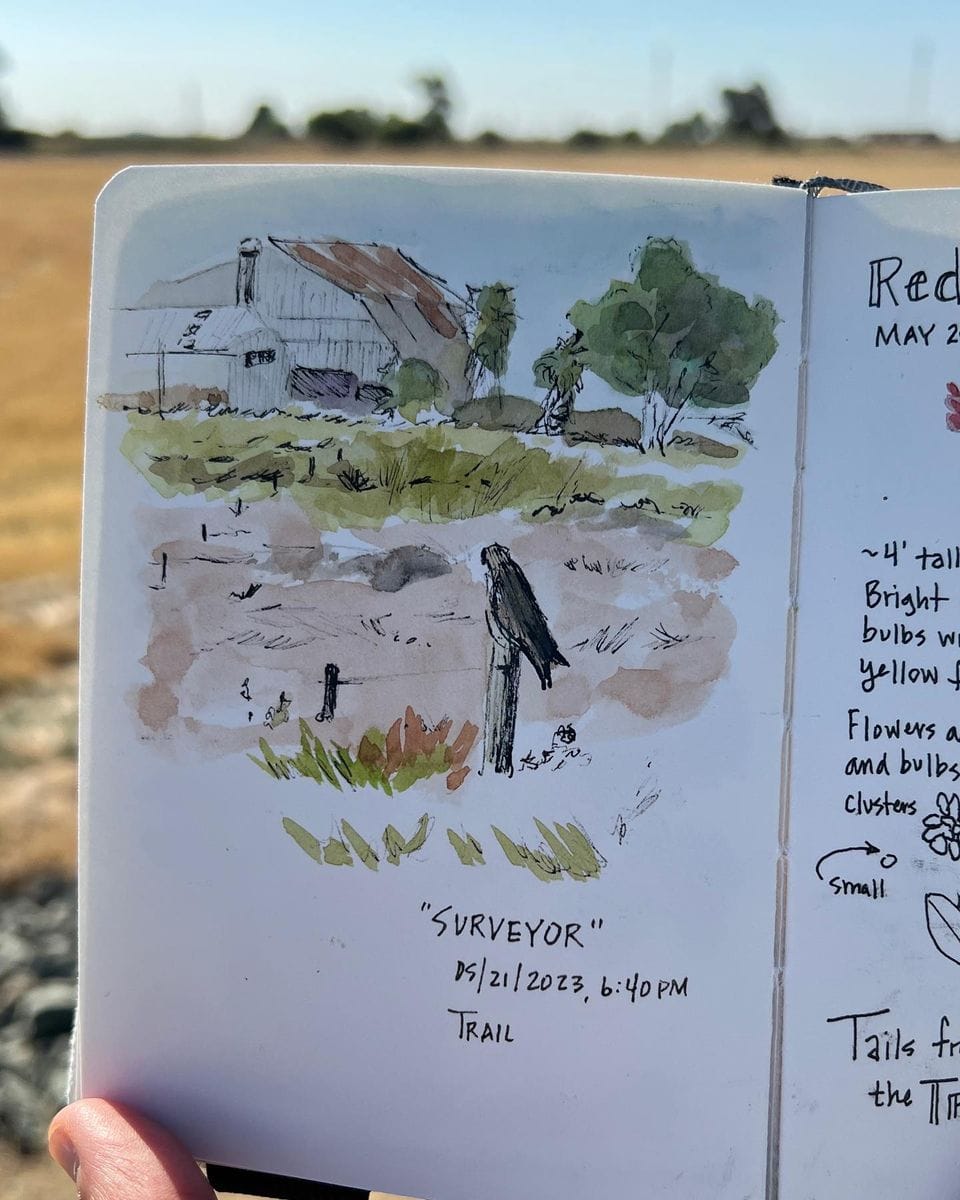 Tales from the Trail: How an ultralight sketching kit transformed the way I nature journal