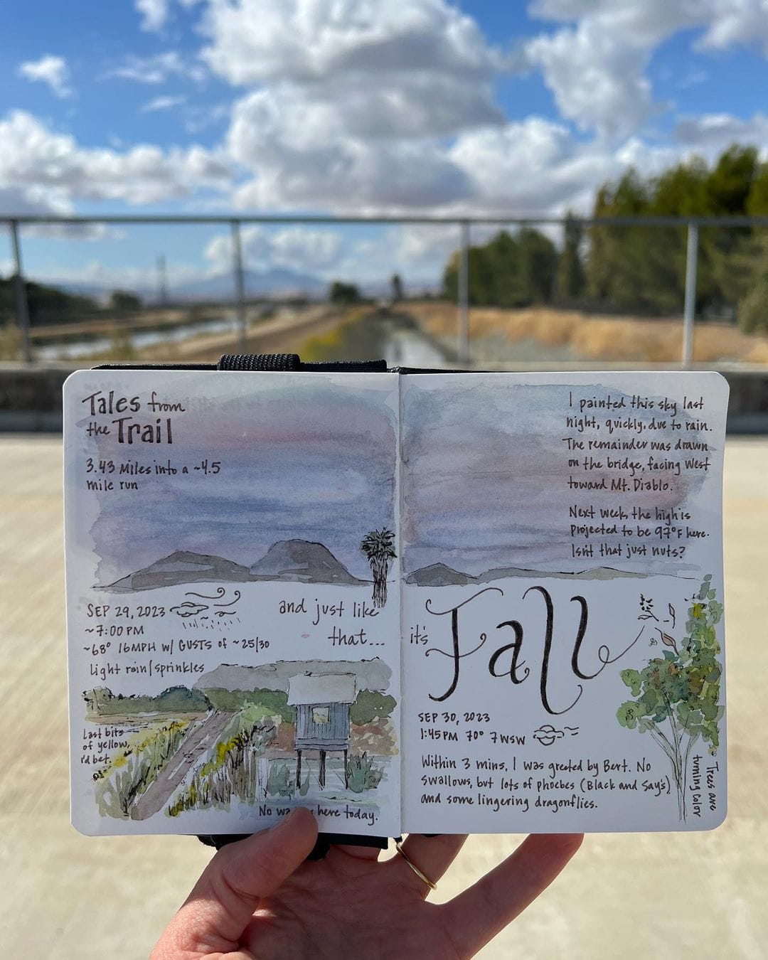 Tales from the Trail: How an ultralight sketching kit transformed the way I nature journal
