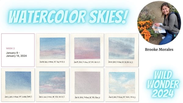 Interview: The Nature Journal Show: Painting Watercolor Skies at the Wild Wonder Nature Journaling Conference