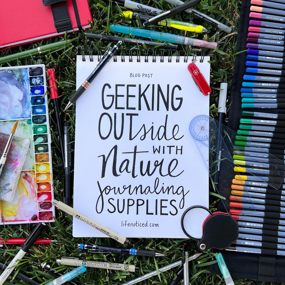 Geeking outside with nature journaling supplies